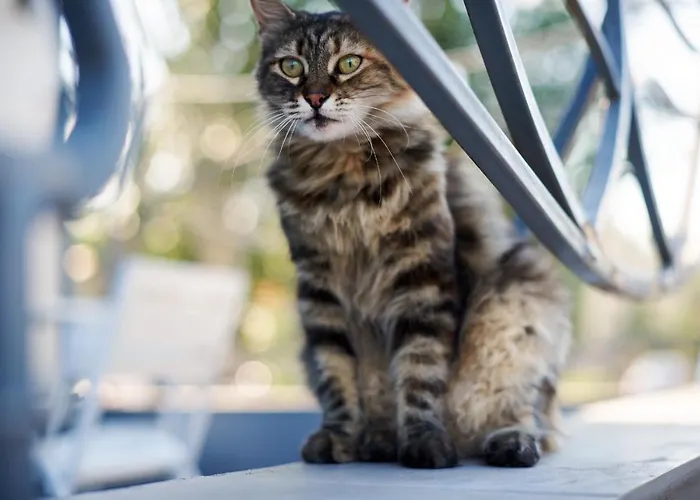 Gaudi Stylish Inn Odesa